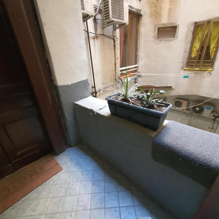 Napolix Centro, Intero Appartamentino, Casa Vacanze, Suite Tricamere Nel Cuore Di Napoli Exterior foto